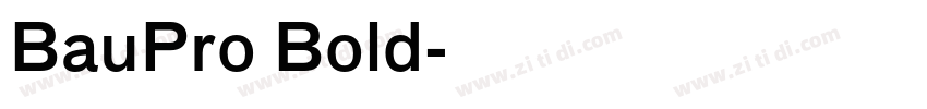 BauPro Bold字体转换